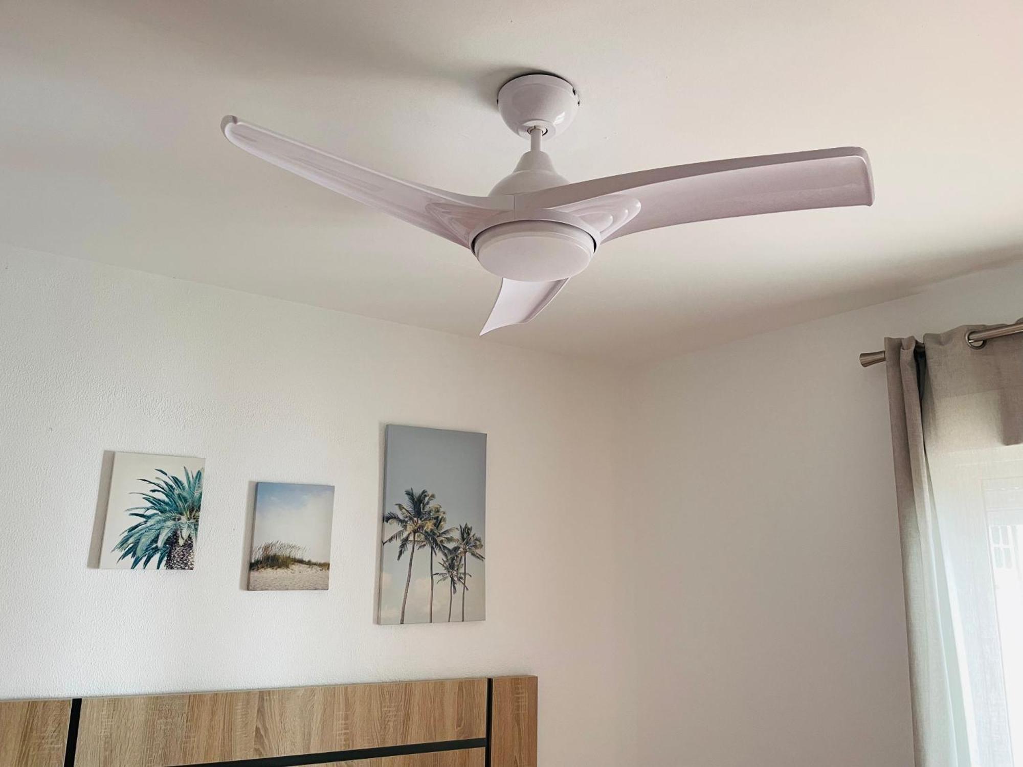 Apartamento Conil Centro Y Playa, Descanso Perfecto, Con Aire Acondicionado Y Wifi 科尼尔-德拉弗龙特拉 外观 照片
